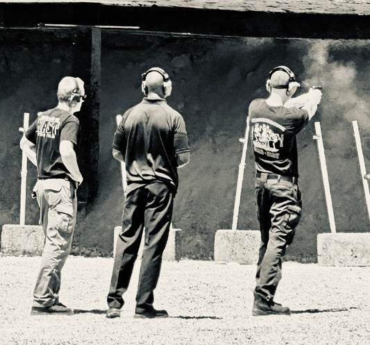 Private Citizen - Tactical Defensive Handgun II